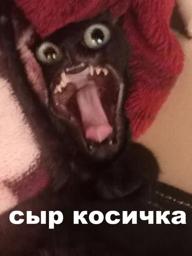 🧀 Стикер «Чилипиздрик» для Telegram