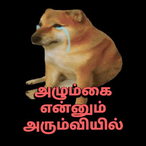 ⚡ Стикер «Cheemsda» для Telegram