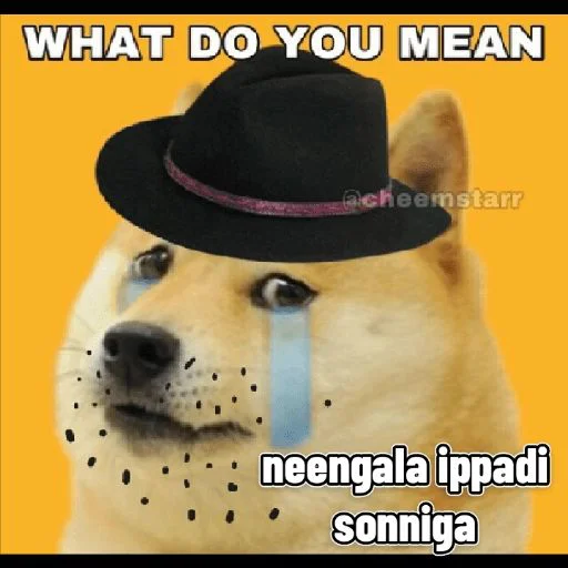 ⚡ Стикер «Cheemsda» для Telegram