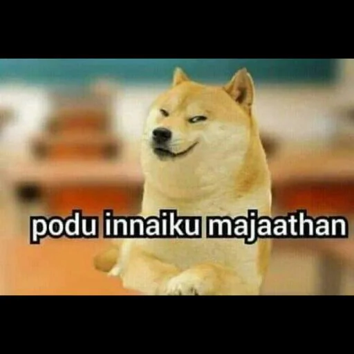 ⚡ Стикер «Cheemsda» для Telegram