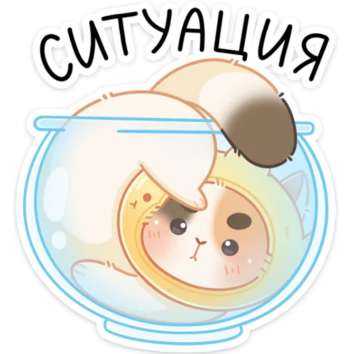 😵 Стикер «Котик Чиз» для Telegram