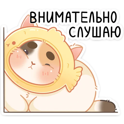 🙉 Стикер «Котик Чиз» для Telegram