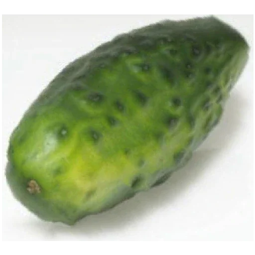 🥒 Стикер «Чего» для Telegram