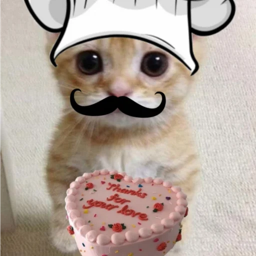 🍰 Стикер «чткл» для Telegram