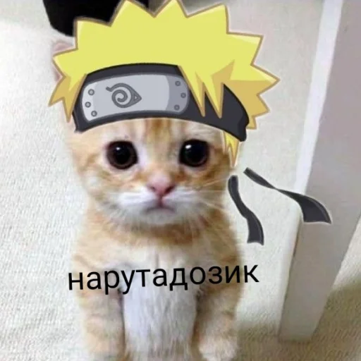 😹 Стикер «чткл» для Telegram