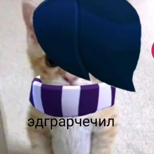 😻 Стикер «чткл» для Telegram