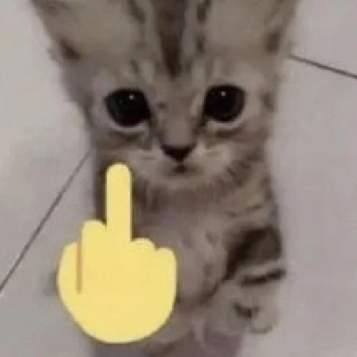 🖕 Стикер «чткл» для Telegram