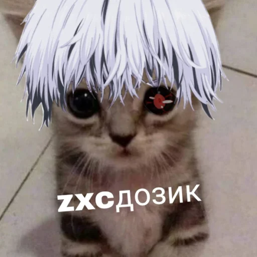 🙀 Стикер «чткл» для Telegram