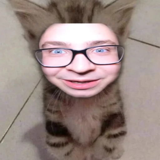 🙈 Стикер «чткл» для Telegram