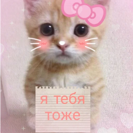 😘 Стикер «чткл» для Telegram