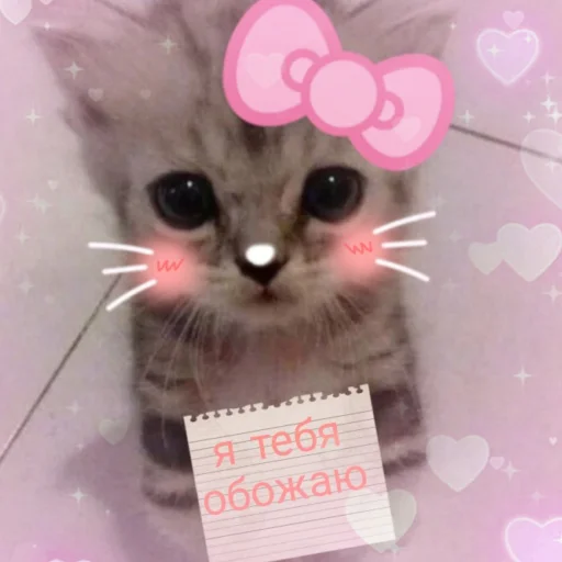 😘 Стикер «чткл» для Telegram