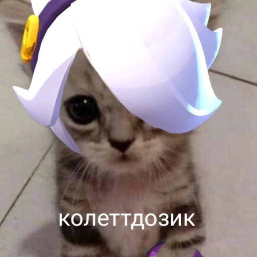 😽 Стикер «чткл» для Telegram
