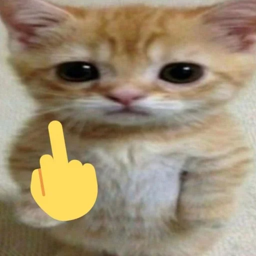 🖕 Стикер «чткл» для Telegram