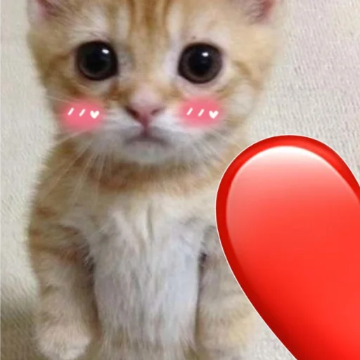 ❤️ Стикер «чткл» для Telegram