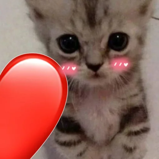 ❤️ Стикер «чткл» для Telegram