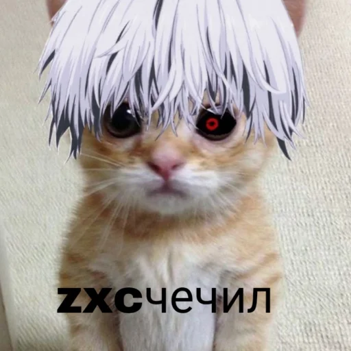 😾 Стикер «чткл» для Telegram