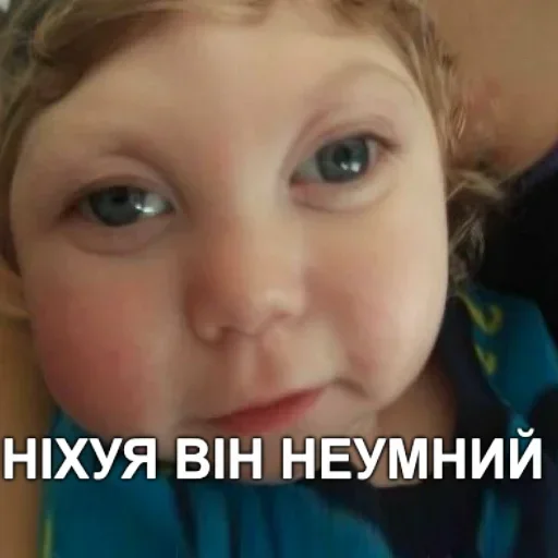 ❌ Стикер «Стікери чела з Оболоні» для Telegram