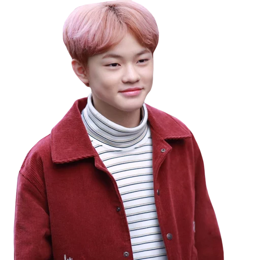 😊 Стикер «ChenLe NCT» для Telegram