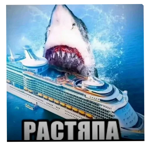 🦈 Стикер «актуалочка» для Telegram