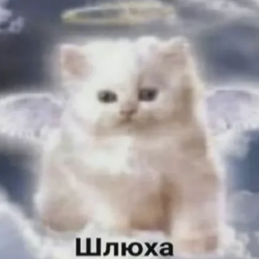 😇 Стикер «актуалочка» для Telegram