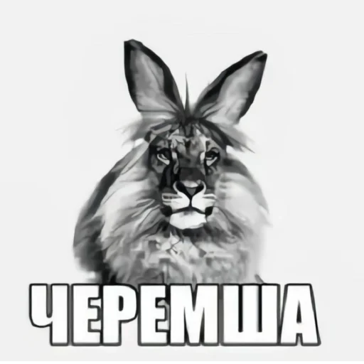 🦁 Стикер «актуалочка» для Telegram