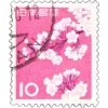 🍒 Эмодзи «Cherry - вишневый пак» для Telegram