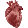 🤩 Эмодзи «Cherry Spirit Emoji» для Telegram