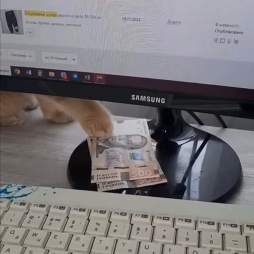 🐈 Стикер «Четырёх лапые братья» для Telegram
