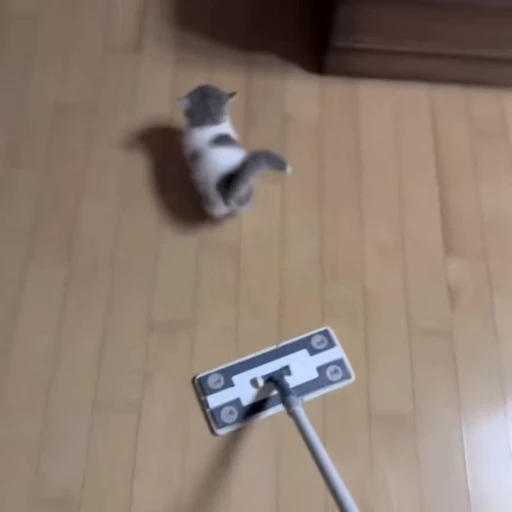 🐈‍⬛️ Стикер «Четырёх лапые братья» для Telegram