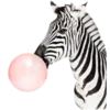 Стикер 6 Bubble gum