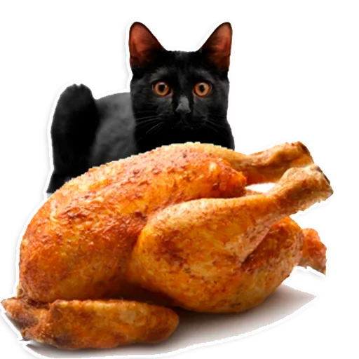 😼 Стикер «Куры» для Telegram