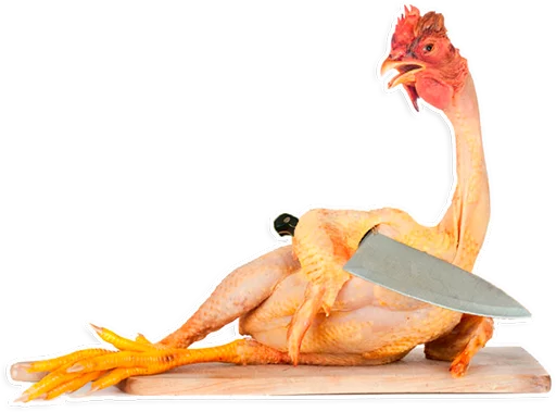 🐓 Стикер «Куры» для Telegram