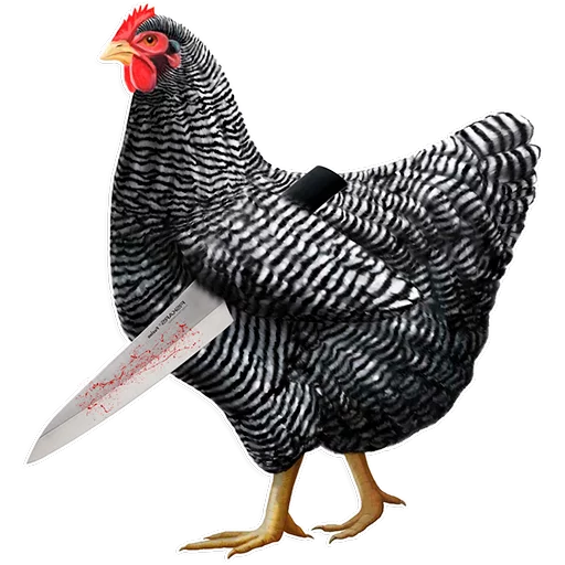 🐓 Стикер «Куры» для Telegram