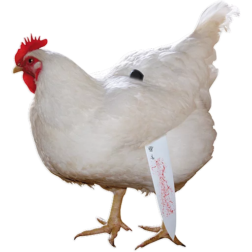 🐓 Стикер «Куры» для Telegram