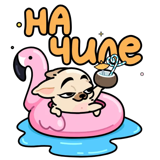 🤩 Стикер «Чихуа» для Telegram