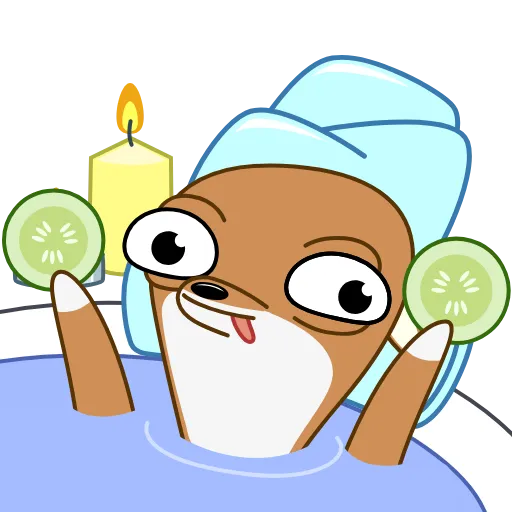 🛀 Стикер «Чихуаш Лёня» для Telegram