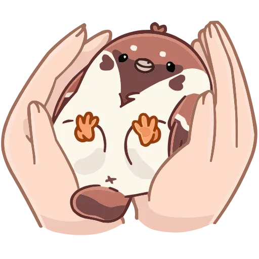 Стикер 5 Чик