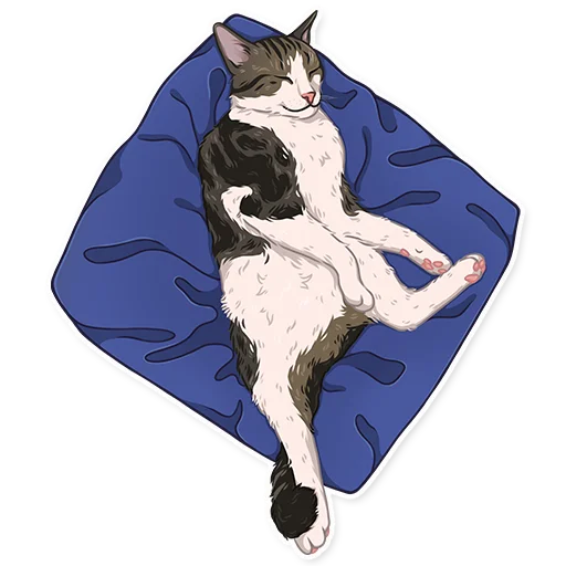 😴 Стикер «МоиКоты» для Telegram