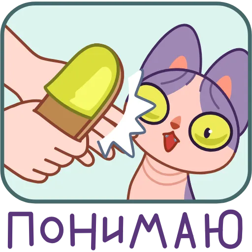 Стикер 24 Чира