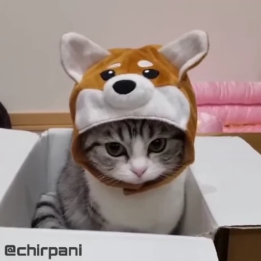 😺 Стикер «чїрпанята» для Telegram
