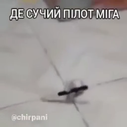 🔪 Стикер «чїрпанята» для Telegram
