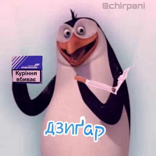 🐧 Стикер «videomemes» для Telegram