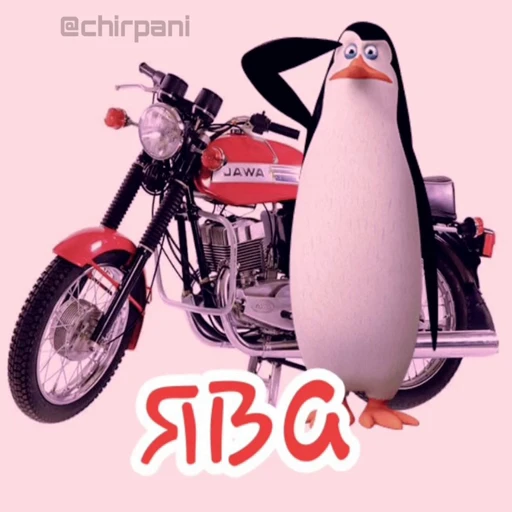 🐧 Стикер «videomemes» для Telegram