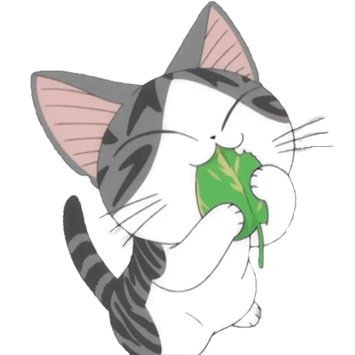 🐱 Стикер «Chi» для Telegram