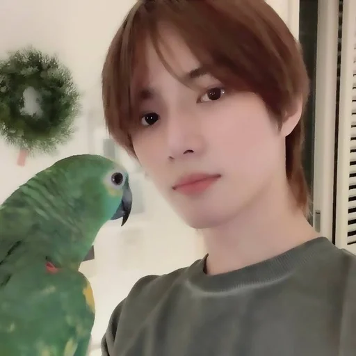🐻 Стикер «beomgyu» для Telegram
