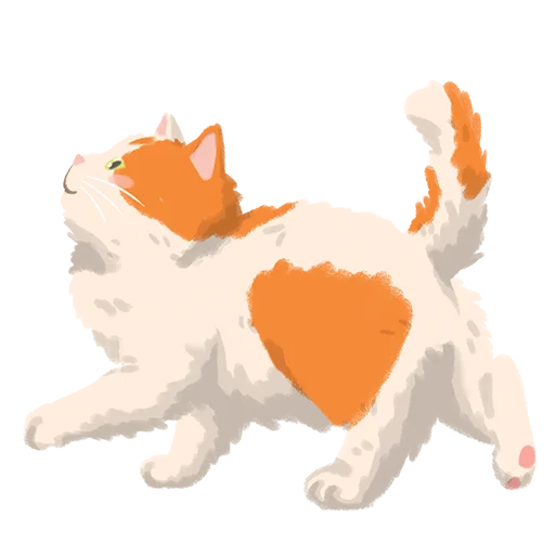 ❤️ Стикер «Chonky Orenji Mood» для Telegram