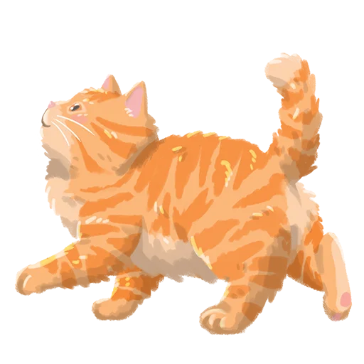 🧡 Стикер «Chonky Orenji Mood» для Telegram