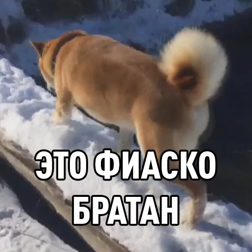 😢 Стикер «Chornobay» для Telegram