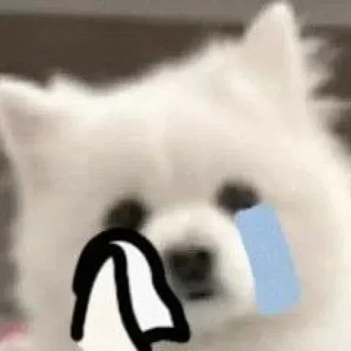 😭 Стикер «TG效果最强电话短信轰炸» для Telegram