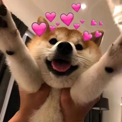 😍 Стикер «TG效果最强电话短信轰炸» для Telegram